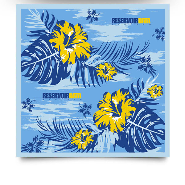 bandana-reservoitData